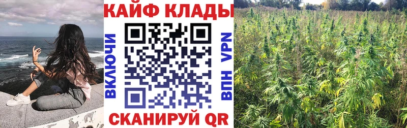Купить МАРИХУАНА Меф мяу мяу COCAIN Гашиш Пыталово