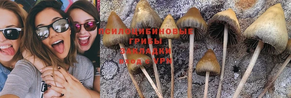 а пвп мука Заводоуковск
