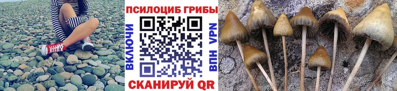 Купить где  Пыталово  Псилоцибиновые грибы GOLDEN TEACHER 