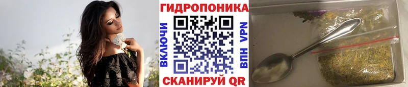 Купить  Пыталово  Конопля планчик 